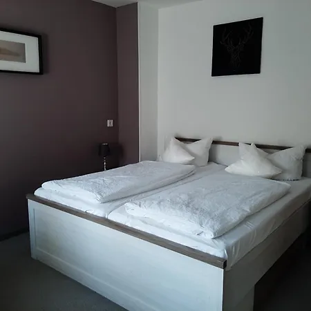 Berghotel-willingen فيلنغن