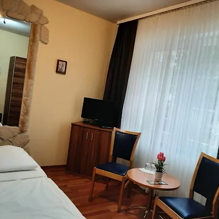 Berghotel-willingen Πανδοχείο 3*
