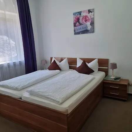 Berghotel-willingen 宾馆 维林根