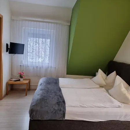 宾馆 Berghotel-willingen