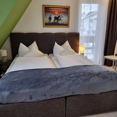 Berghotel-willingen 3* 维林根