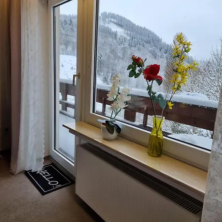 Han/Misafirhane Berghotel-willingen