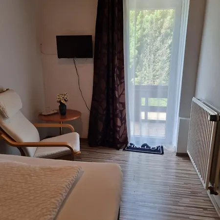 Berghotel-willingen Inn Willingen (Upland)