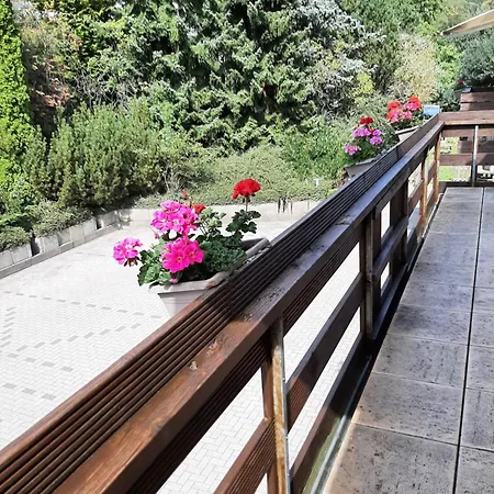 Gasthof Berghotel-willingen Willingen (Upland)