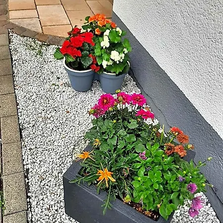 宾馆 Berghotel-willingen 维林根