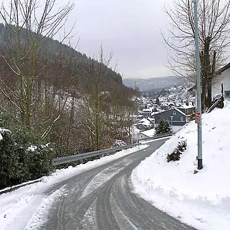 Berghotel-willingen 3* Willingen (Upland)