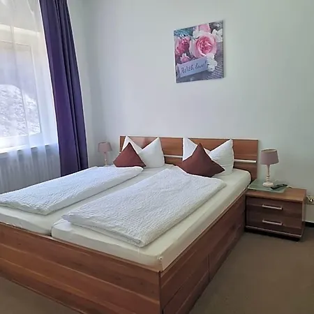Berghotel-willingen Gasthof Willingen (Upland)