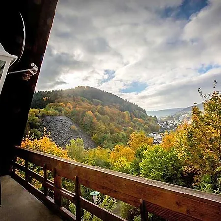 Berghotel-willingen Gasthof 3*