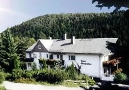 Berghotel-willingen 维林根