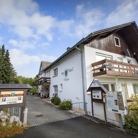 Berghotel-willingen Han/Misafirhane