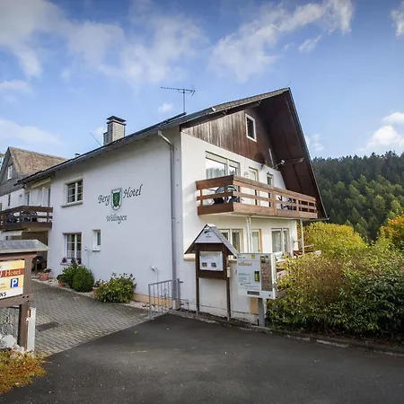 Berghotel-willingen 宾馆 维林根