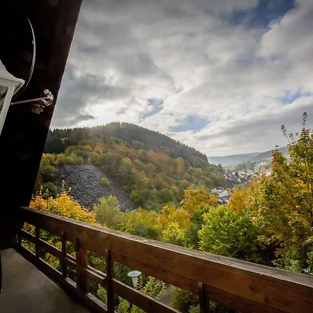 Berghotel-willingen Han/Misafirhane 3*