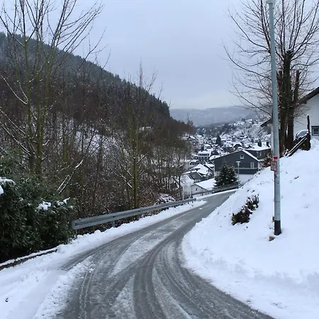 Berghotel-willingen 3*