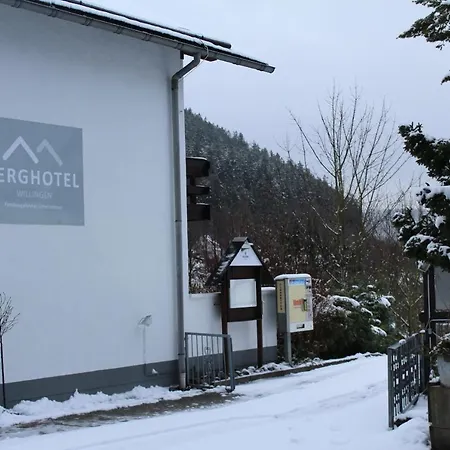 Berghotel-willingen 宾馆 3*