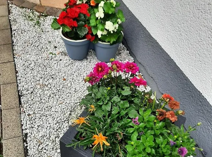 Berghotel-willingen 3*