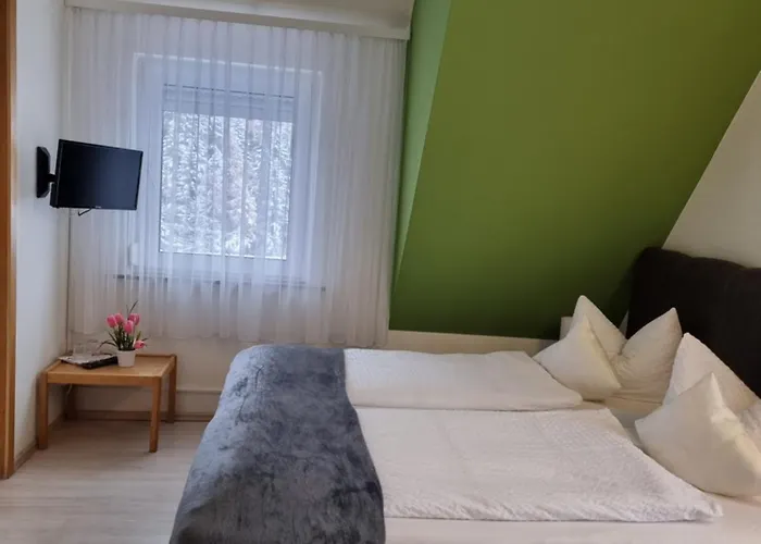 بيت ريفي Berghotel-willingen