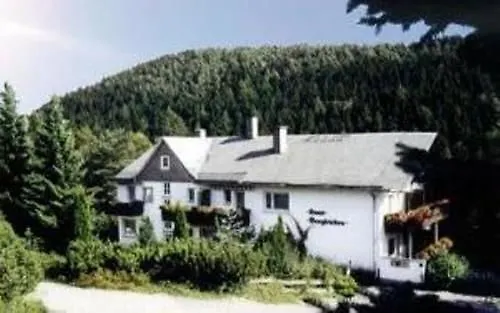 Berghotel-willingen فيلنغن