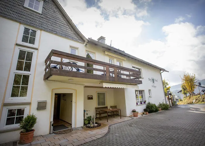 بيت ريفي Berghotel-willingen 3*