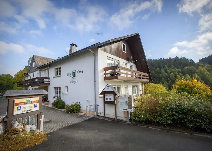 Berghotel-willingen Inn Willingen (Upland)